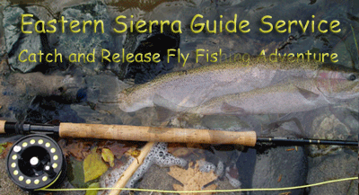 Eastern Sierra, California Trout Fly Fishing Guide Pat Jaeger, Bishop and 
Mammoth Lakes