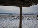 Mono Lake Wild Rose Station Lee Vining vacation rental by owner