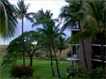 Large 1 bedroom oceanfront Maui condo for rent by owner, sleeps 2 - 4
