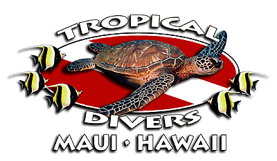 Maui Scuba Diving with Tropical Divers Maui on Ka'anapali Beach Maui Hawaii.