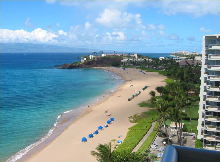 Check out our other condos on the beaches of Kaanapali, Maui.