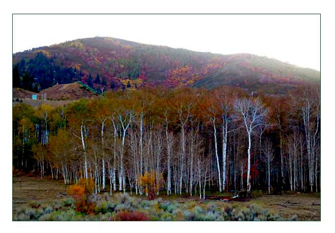 Park City Utah, Wasatch Mountains in Autumn