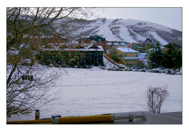 Old town location on 7 acres of open land