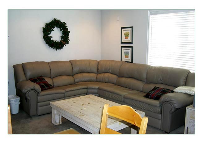 Large living area with double sided fireplace
