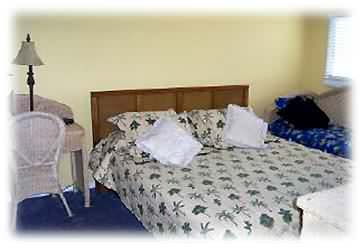 Master bedroom has a king-size bed and twin daybed.