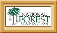 Deschutes National Forest Sunriver Oregon