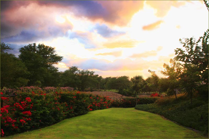 Flowering and fragrant gardens of Ho'olei Luxury Villas located directly across from The Grand Wailea and Wailea Beach.