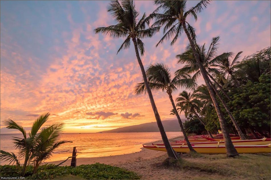 Views of the Pacific Ocean