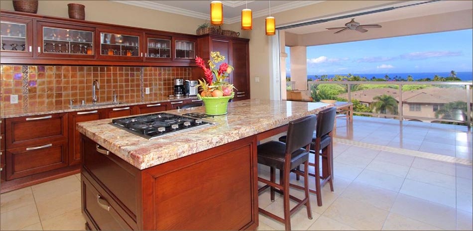 Fully equipped gourmet kitchen with granite counter tops, Italian cabinetry and professional appliances..
