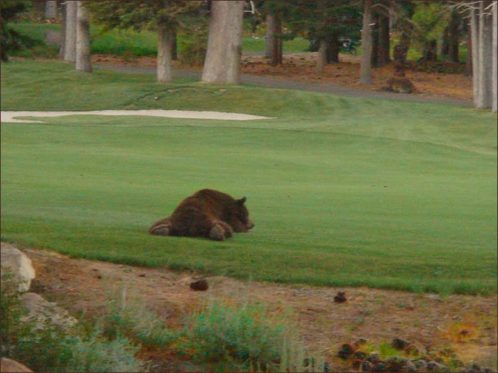 Sierra Star Golf Course, those are the breaks.