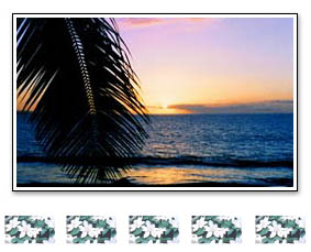 Maui Kai Beachfront Luxury Weekly Condo Rental